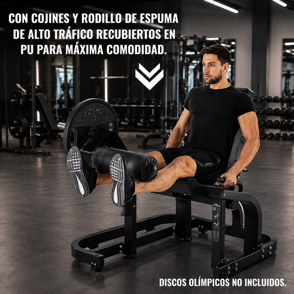 Extensión De Cuádriceps Hammer 3015-4