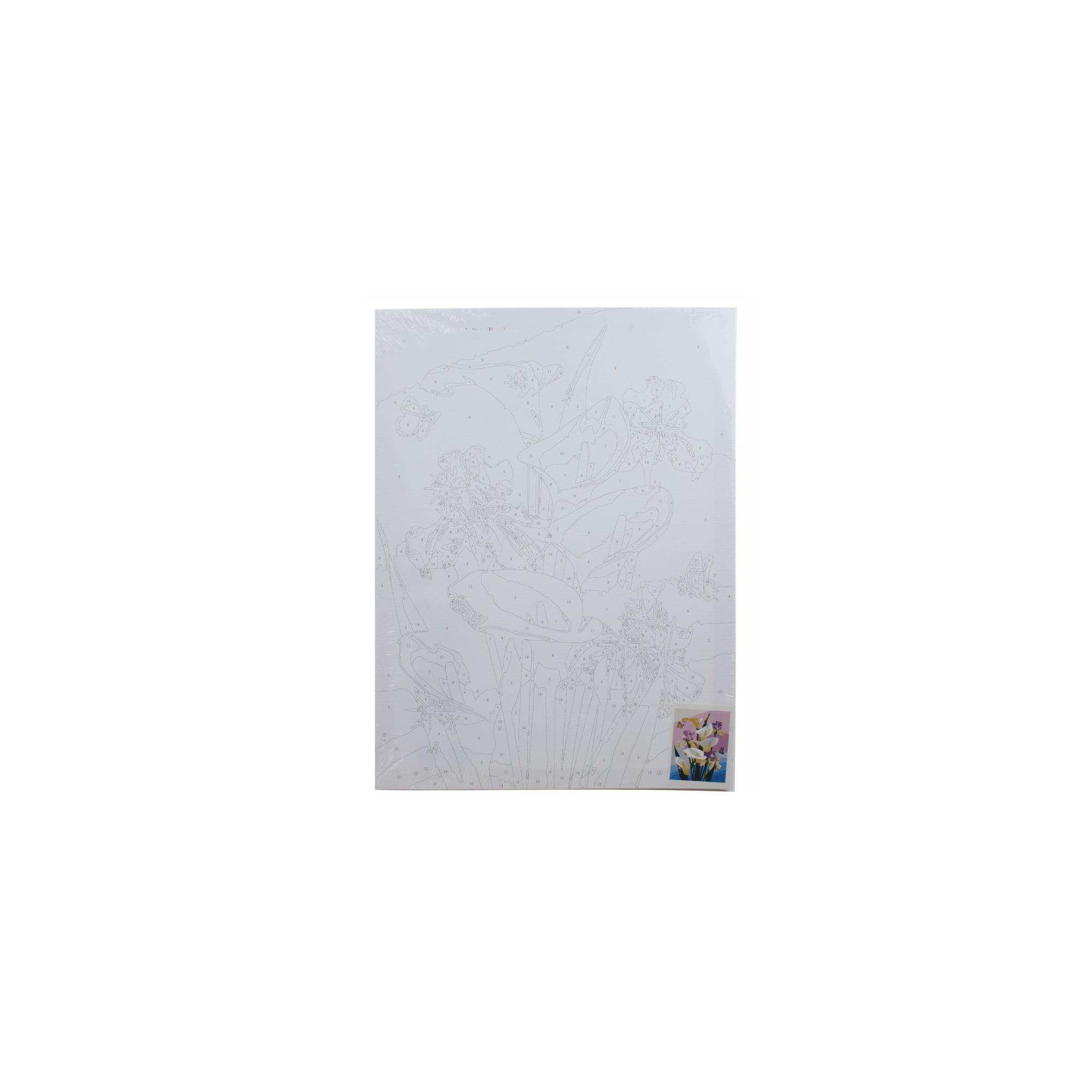 Cuadro De Pintura Al óleo Digital 30*40Cm Con Pincel Y Pintura.-0