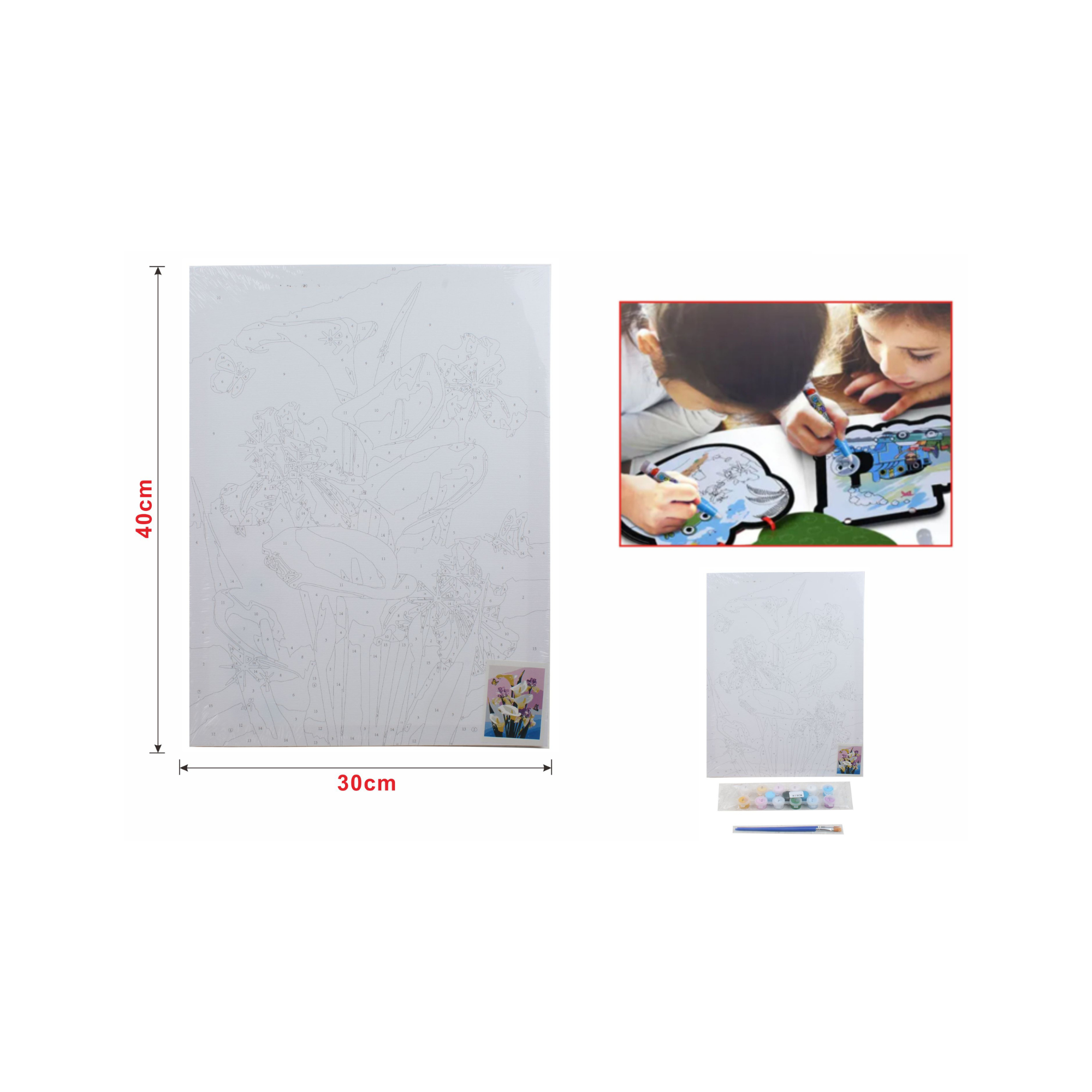 Cuadro De Pintura Al óleo Digital 30*40Cm Con Pincel Y Pintura.-1