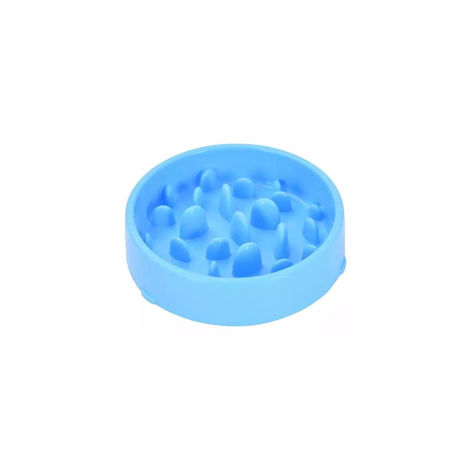 Plato Alimento Perros Color celeste Pack2-0