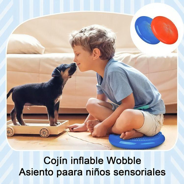 Cojín Autismo Sensorial Propioceptivo Yoga Balones +inflador-5