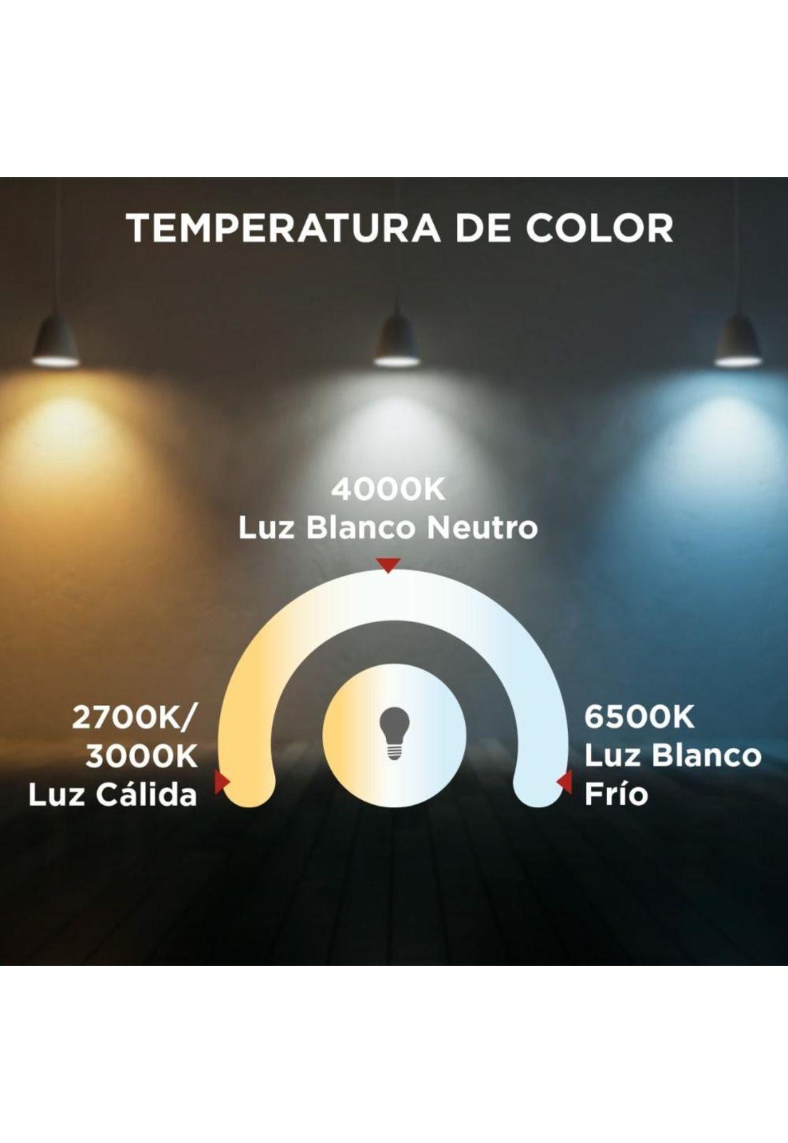 Ampolleta Led Smart Rgb G95 E27 Westinghouse-3