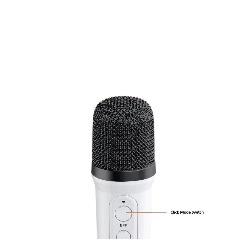 Parlante Karaoke Bluetooth Portatil YS-110 Micrófonos Luces-7