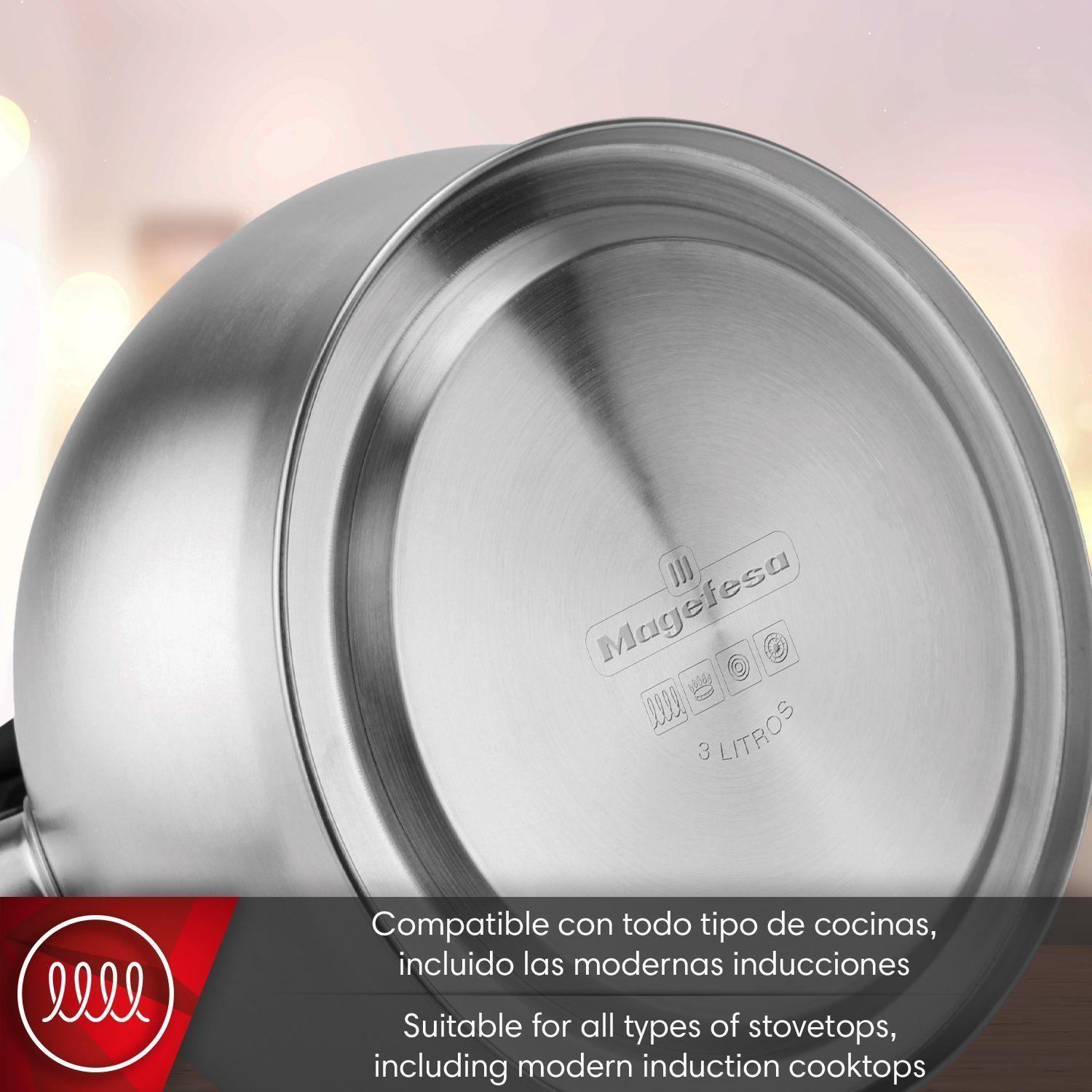 Tetera Silbadora Magefesa Silver Acero Inoxidable 3 L-4