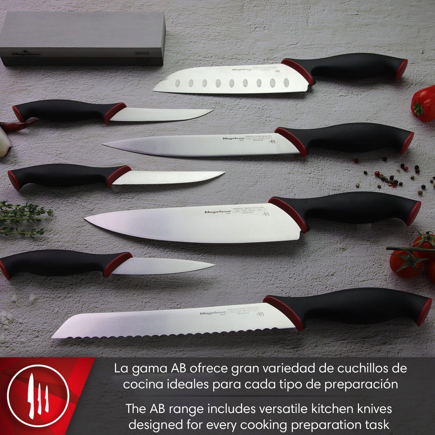 Cuchillo para Carne Magefesa Álvaro Barrientos 11 cm Acero Inoxidable-2