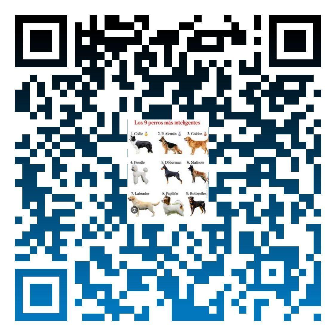 FIT FORMULA  para perro Aduito 20 Kg  alimento completo y balanceado desarrollado con ingredientes -4