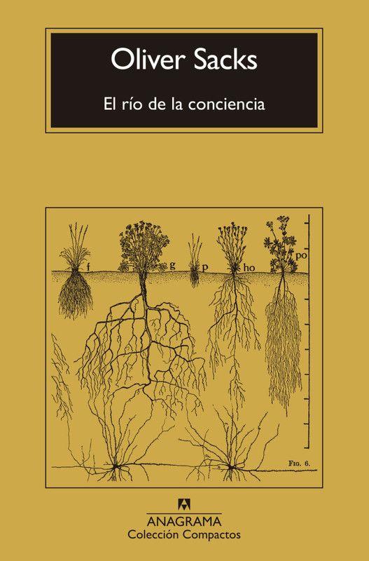 Libro El Río De La Conciencia - Sacks, Oliver-0