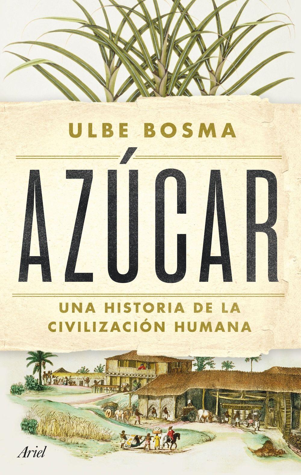 Libro Azúcar - Ulbe Bosma-0