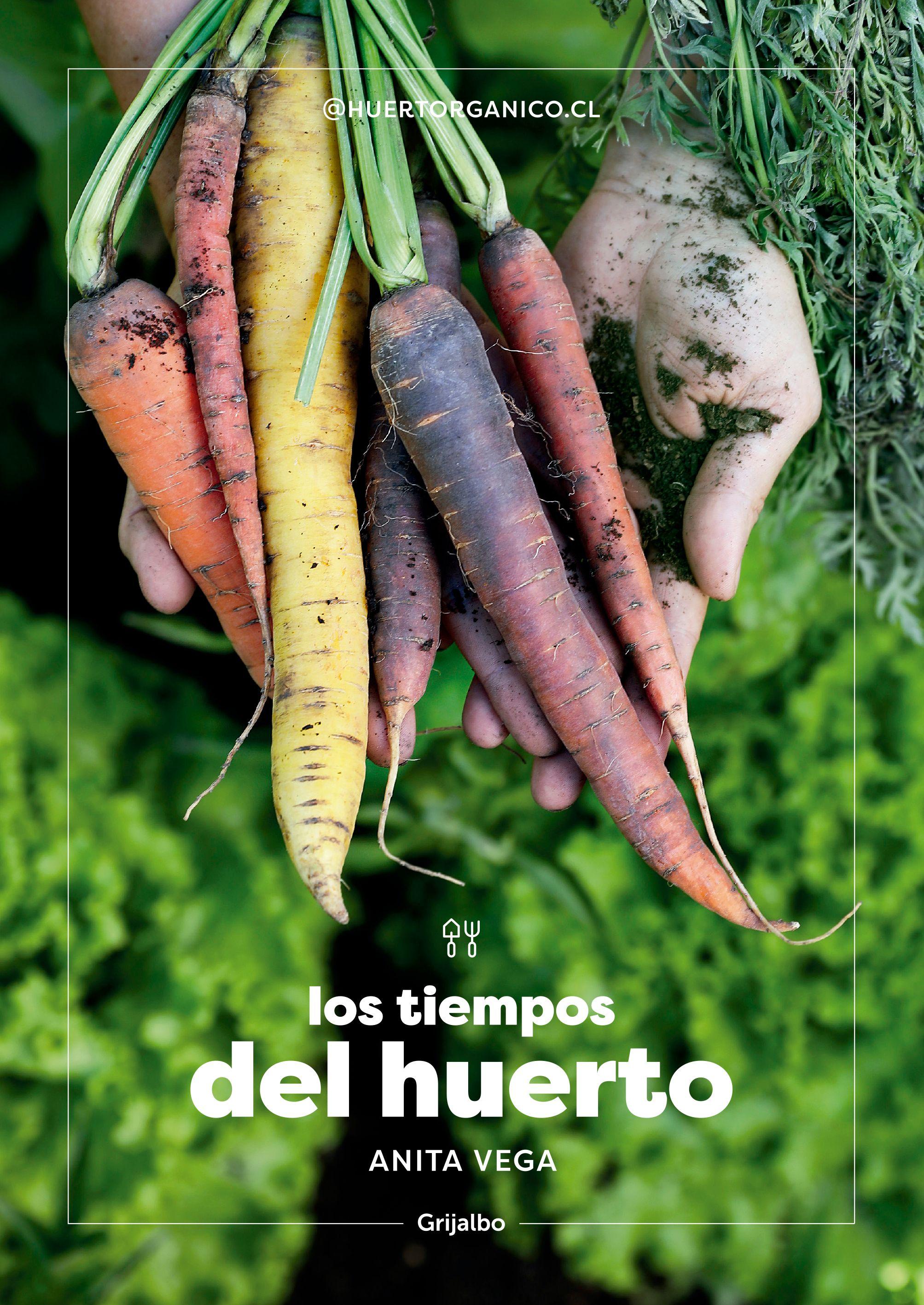 Libro Los tiempos del huerto - Ana Vega-0