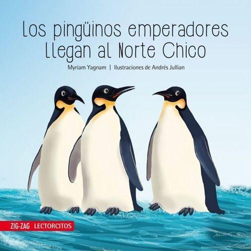 Pingüinos Emperadores Llegan Al Norte Chico - Myriam Yagnam-0