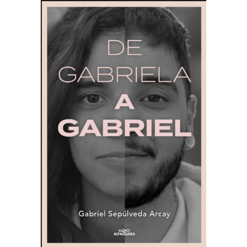 Libro De Gabriela A Gabriel - Gabriel Sepúlveda-0