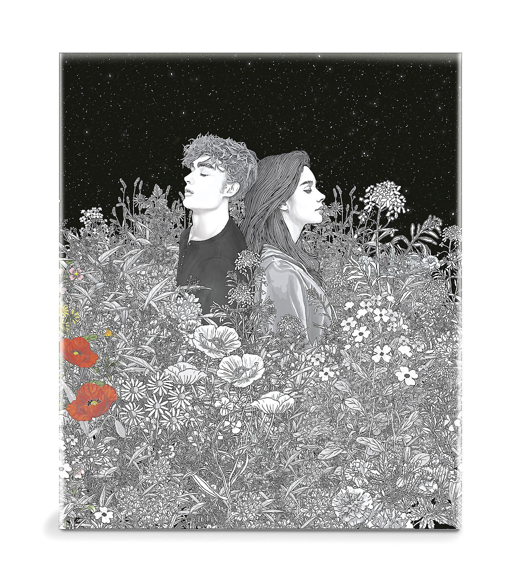 Libro Estuche Saga Crepúsculo 20 Aniversario - S. Meyer-0