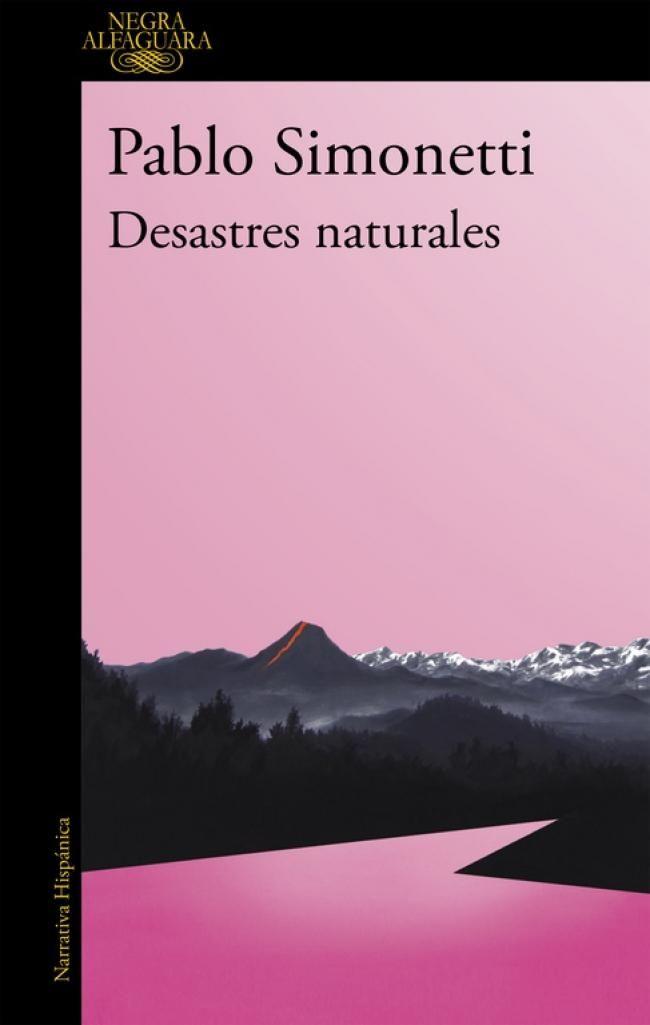 Libro Desastres naturales - Pablo Simonetti-0