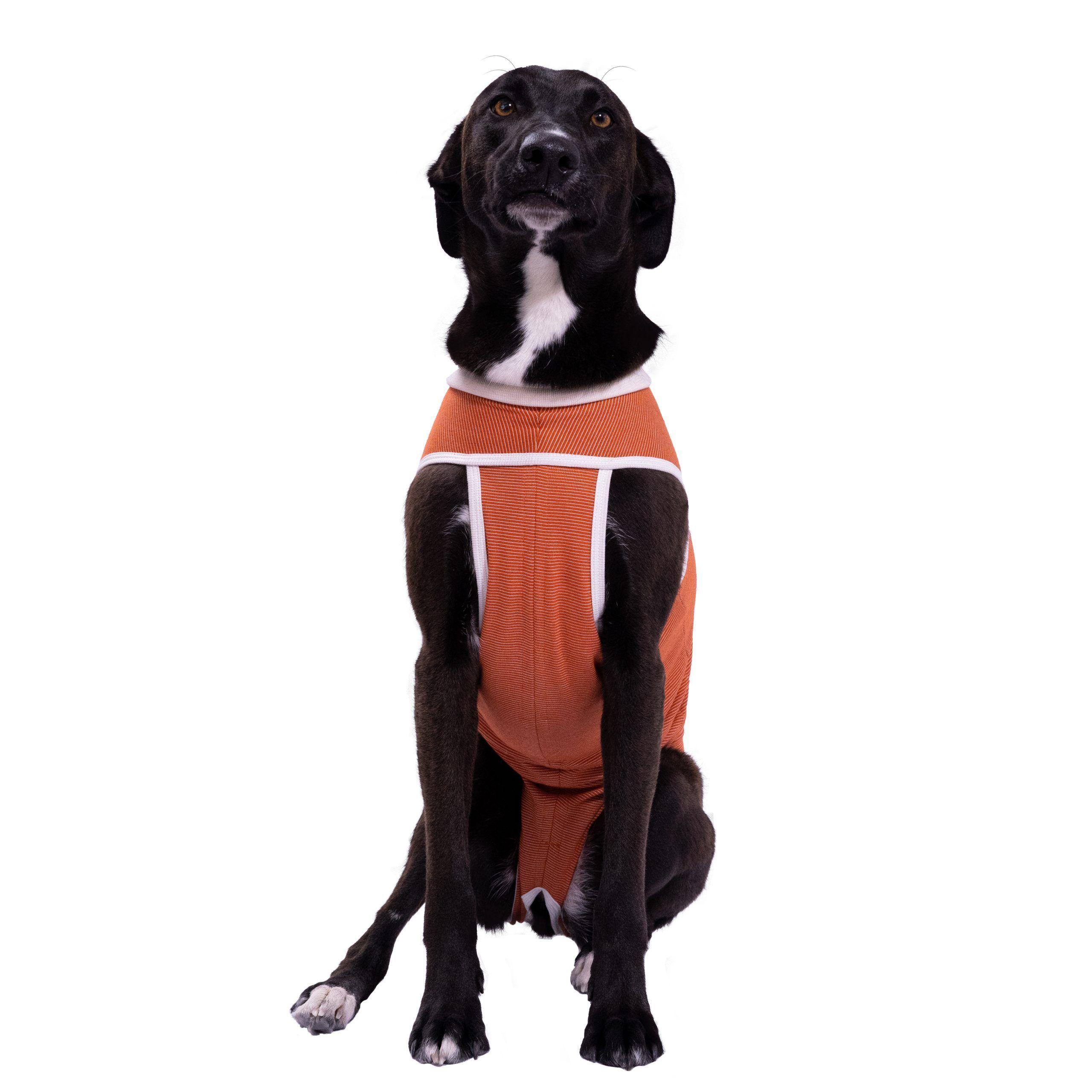 Body Cobre Kimba Tradicional - Talla 5-0
