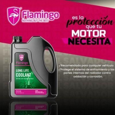 Coolant Verde 4 Litros - FLAMINGOCHILE-2