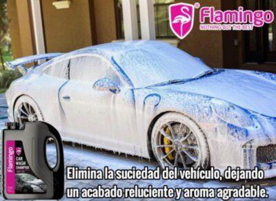 Shampoo Concentrado De Auto 2 Litros Flamingochile-1