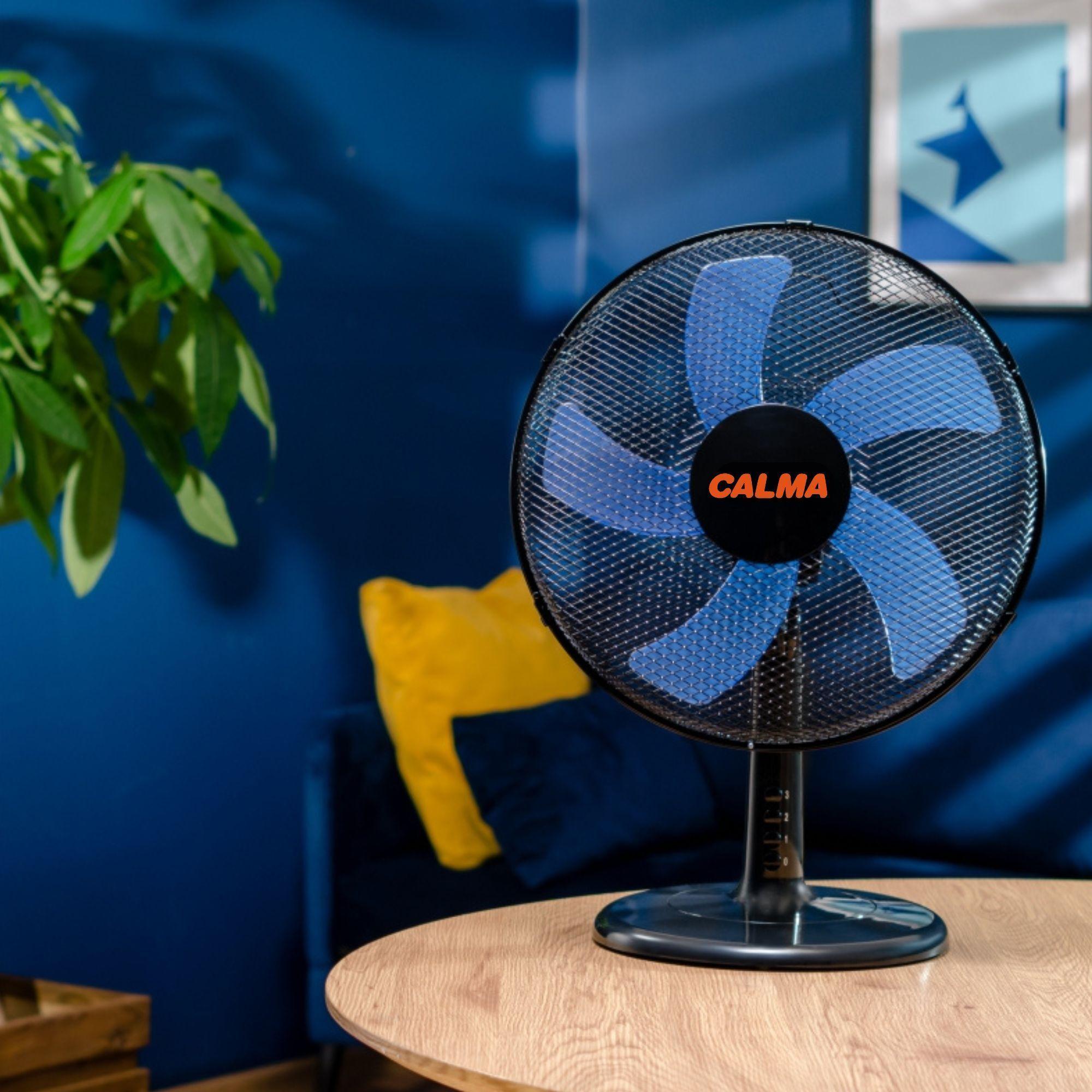 Ventilador Sobremesa Calma 16'' Modelo 4000 - 50 W-4
