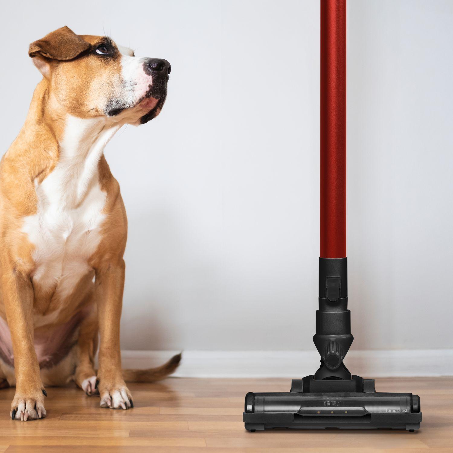 Aspiradora Escoba Ufesa Kalahari 0,8 Lts-6