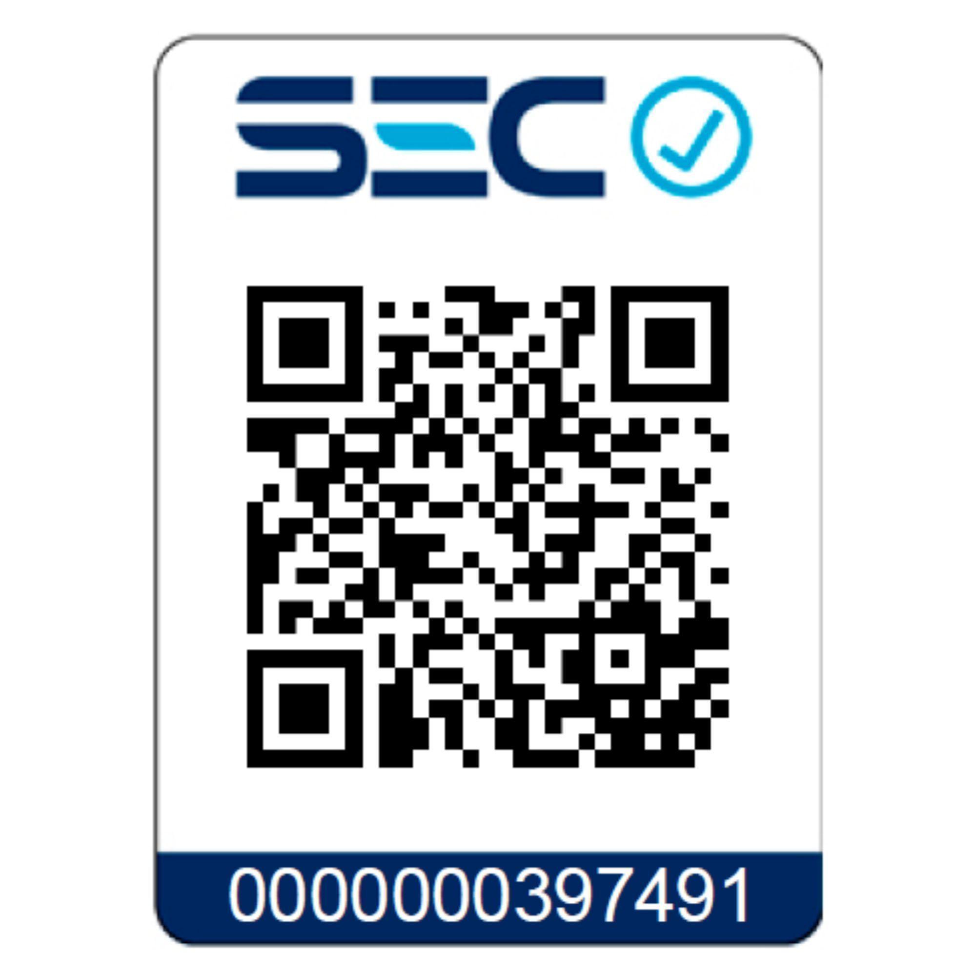 Minipimer Valory VH3000-2