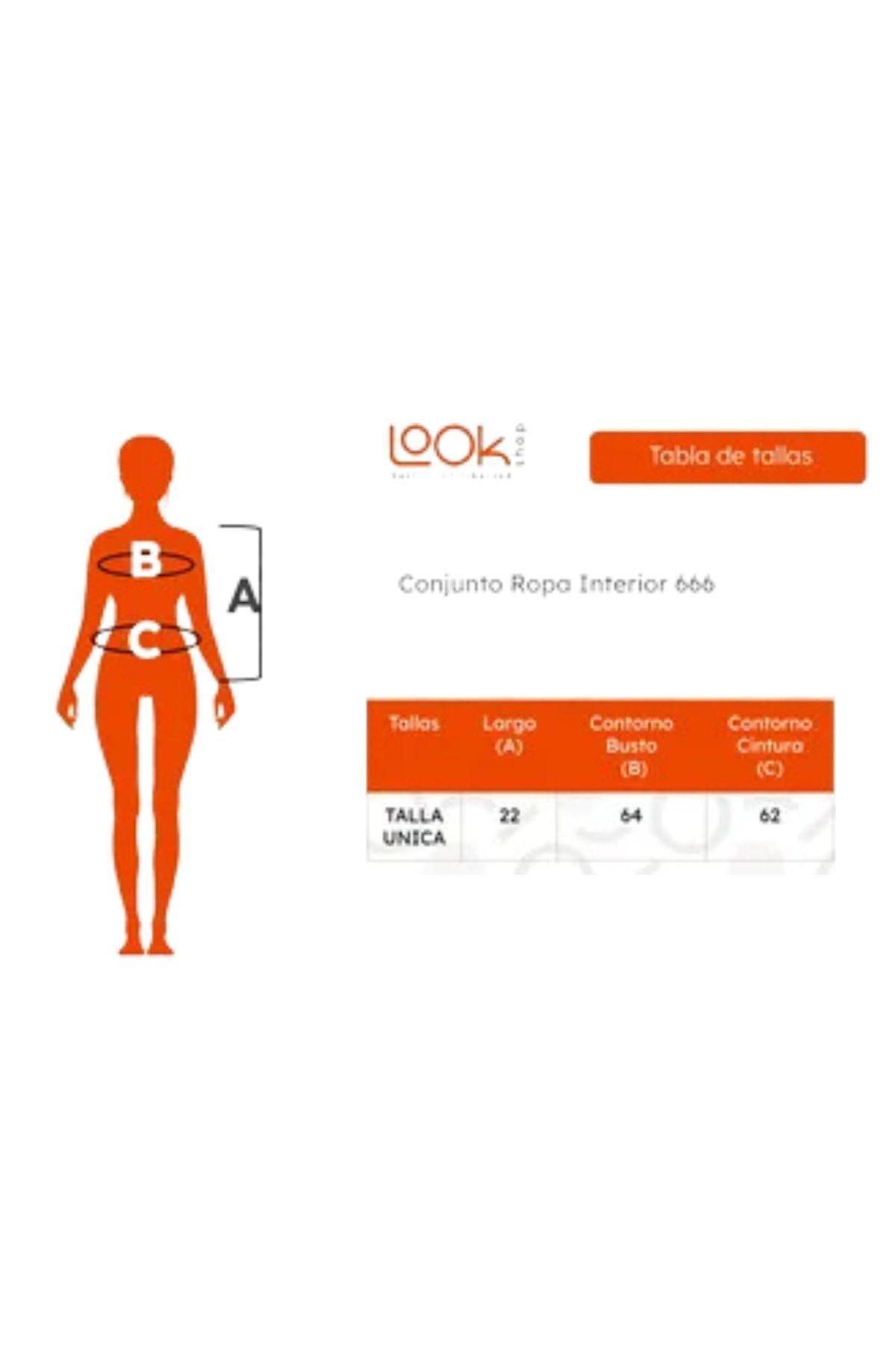 Lencería 2 Conjuntos Ropa Interior Sosten + Calzon 4 Piezas 666-7