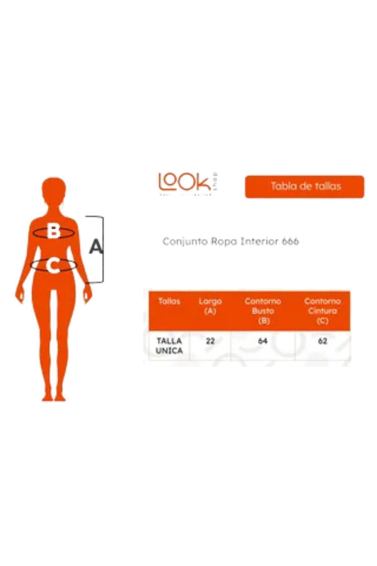 Lencería Conjunto Ropa Interior Sosten + Calzon. Dos Piezas 666-6