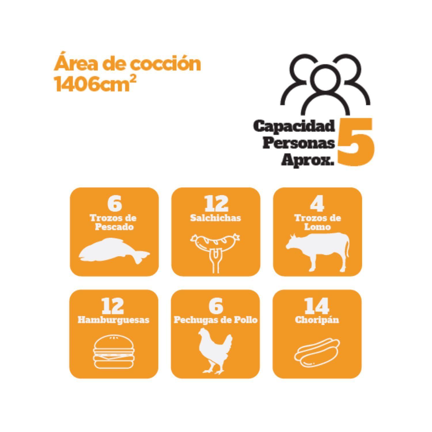 PARRILLA GAS PORTATIL GRILL TO GO 2Q-5