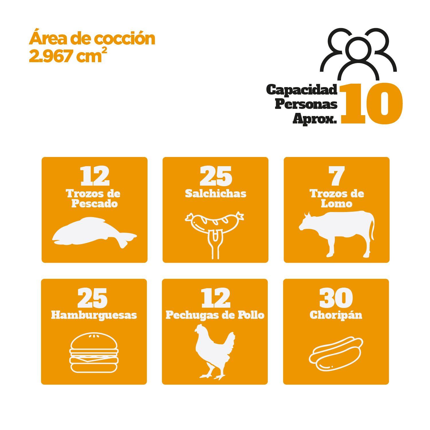 Parrilla Gas Buffalo Grey 4+1 Q + Funda de Regalo-7
