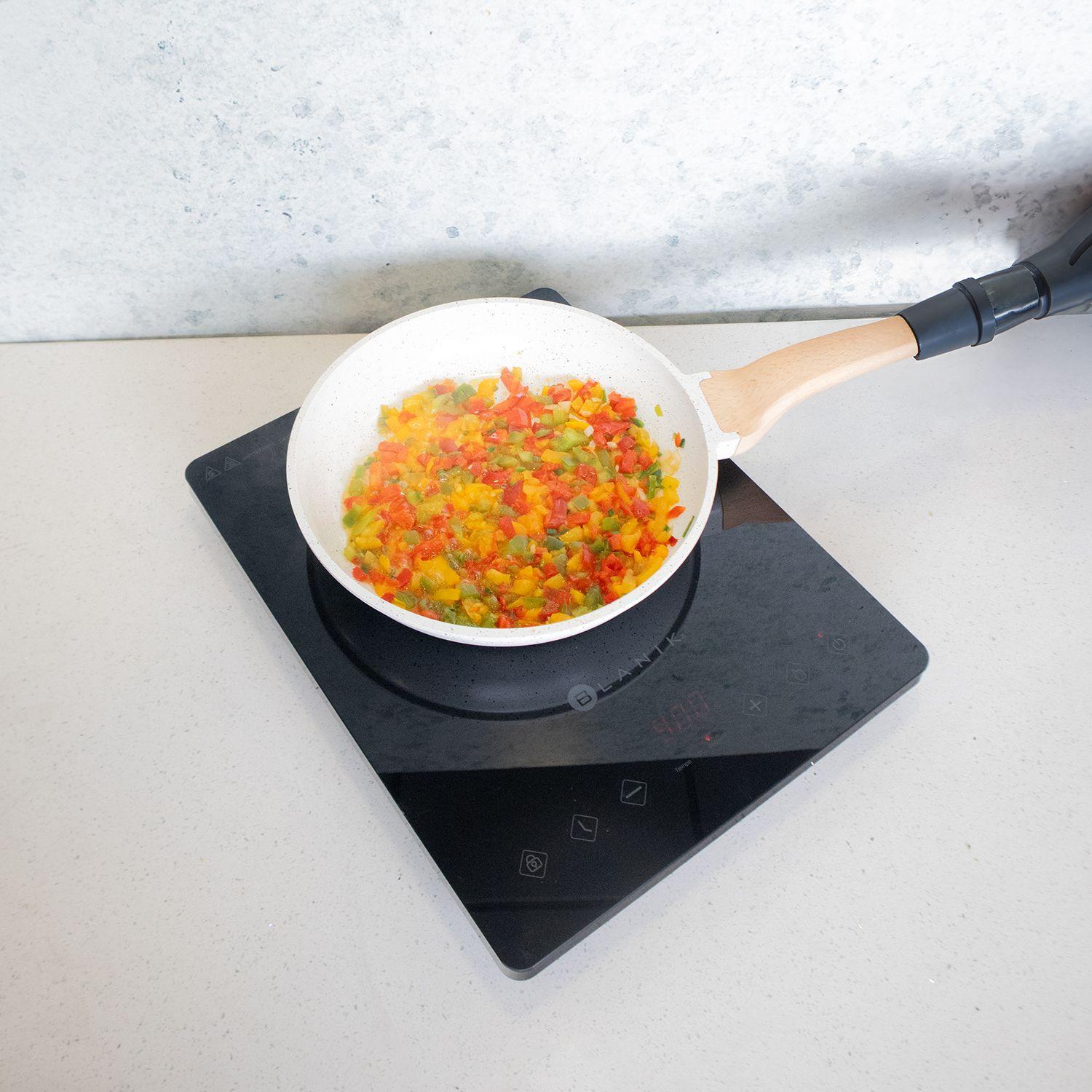 Encimera de Inducción Portátil Blanik-3