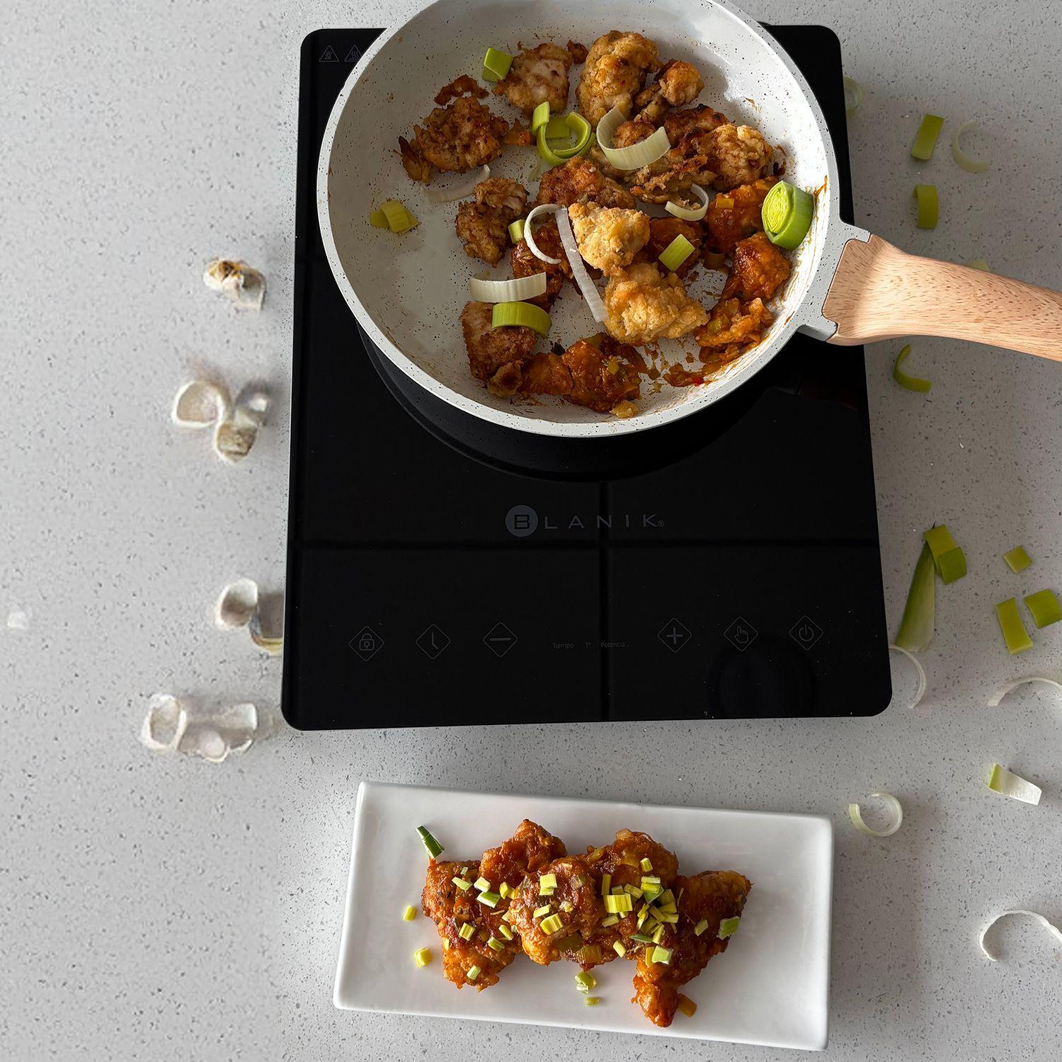 Encimera de Inducción Portátil Blanik-4