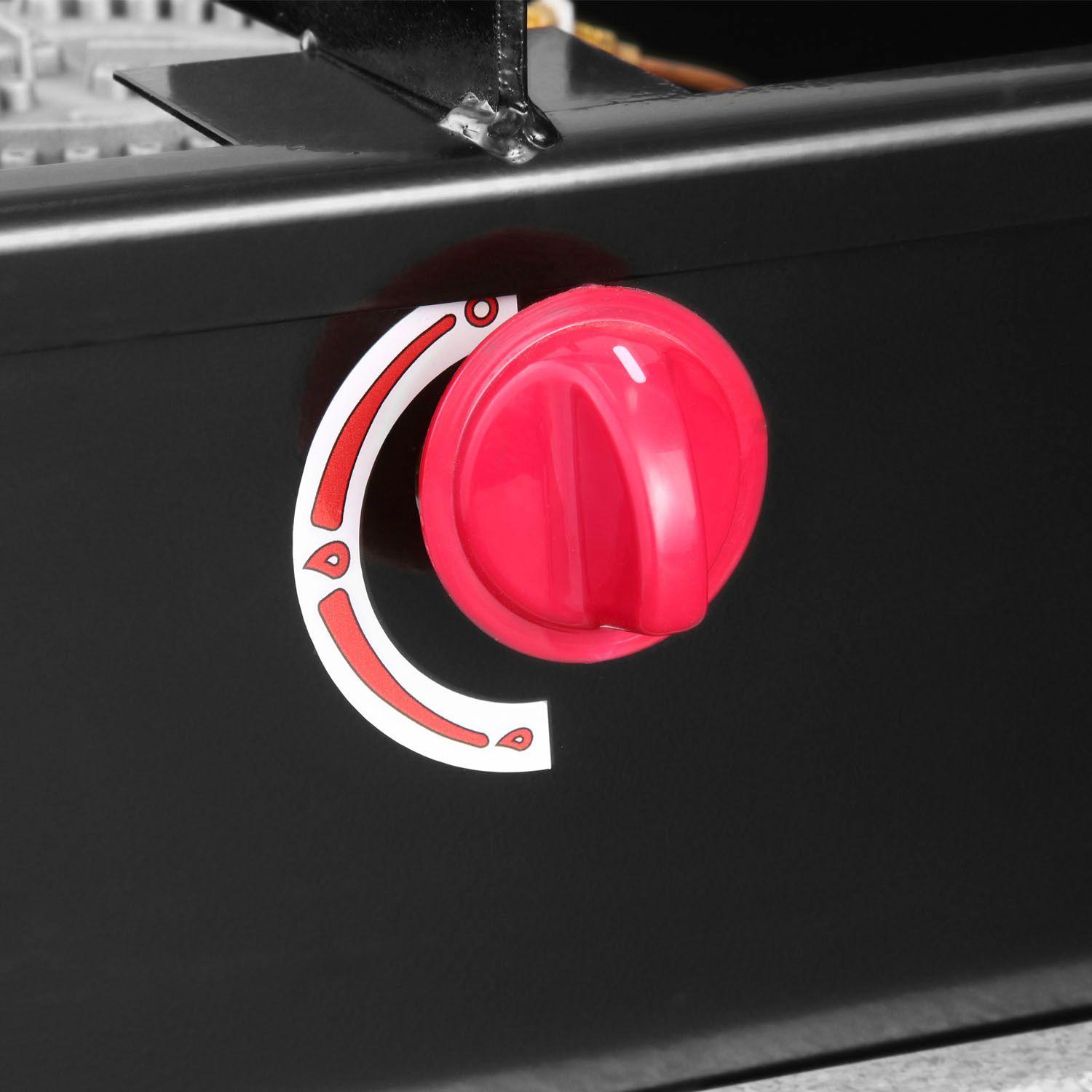 ANAFE ECO 2 QUEMADORES BAJO GLP-4