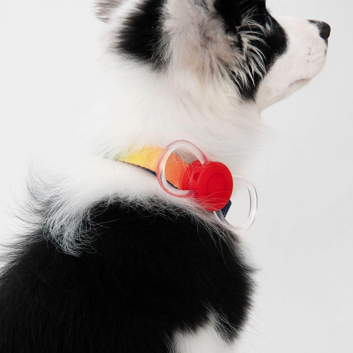 Pidan Luz Seguridad Para Perros Y Gatos Led Recargable-3