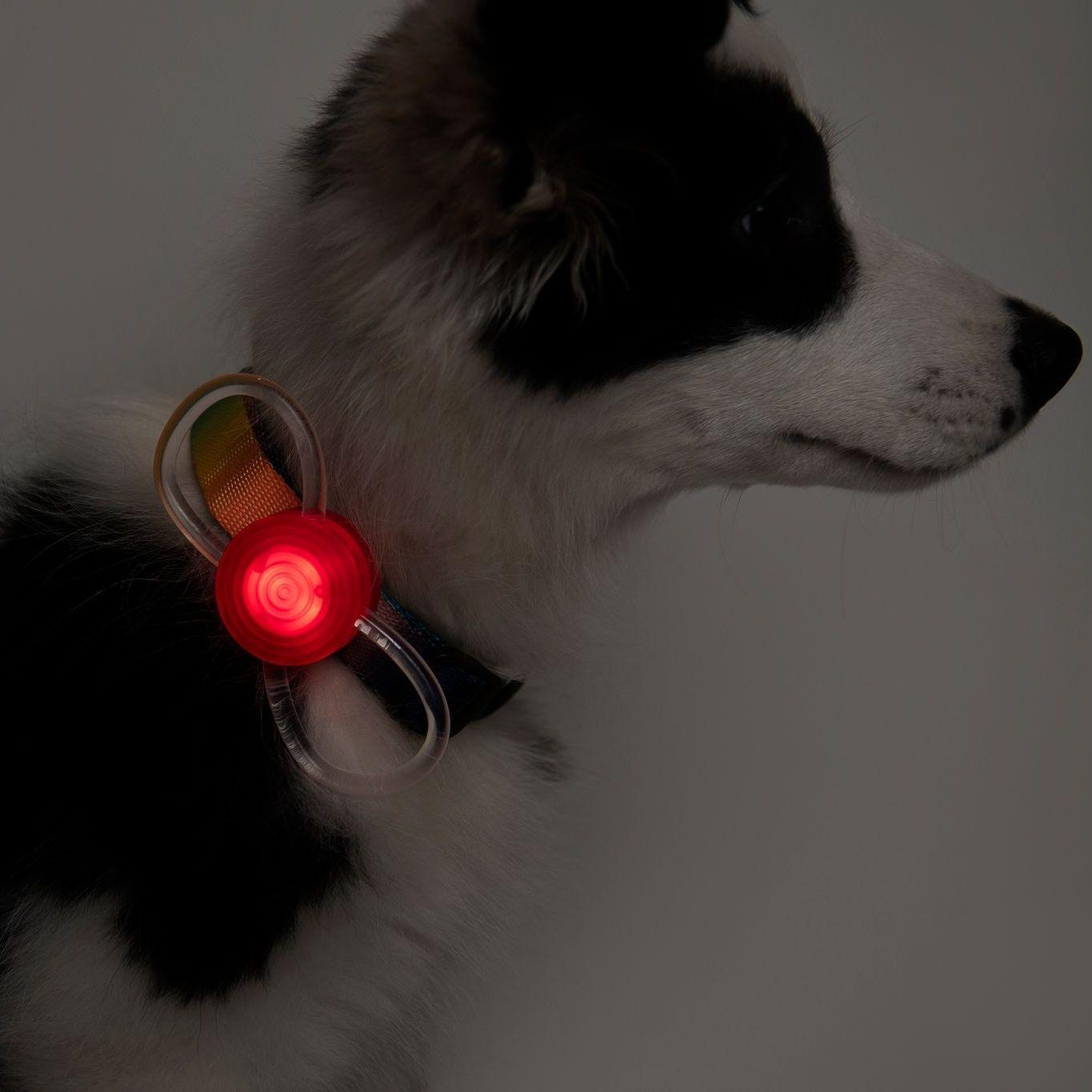 Pidan Luz Seguridad Para Perros Y Gatos Led Recargable-4