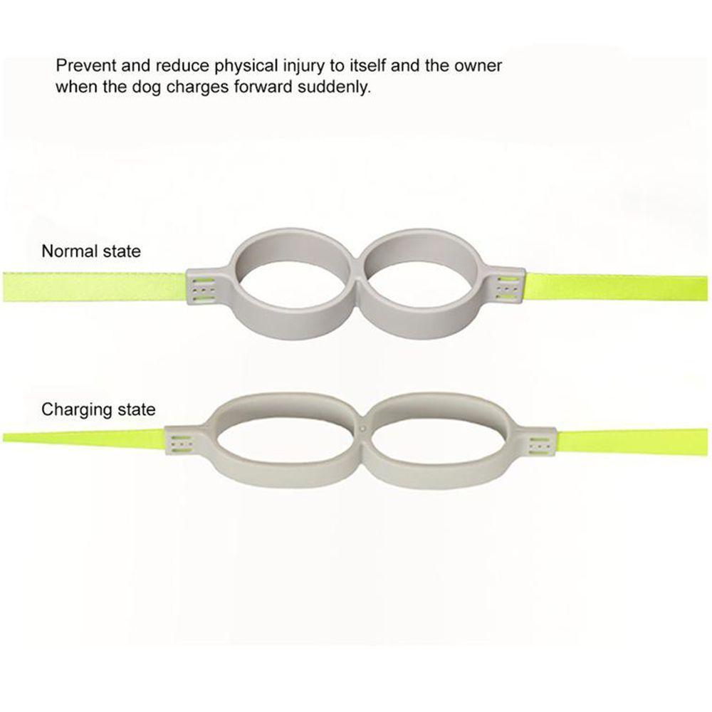Pidan Correa Extensible para Perros Bloque Circular 3m5m-3