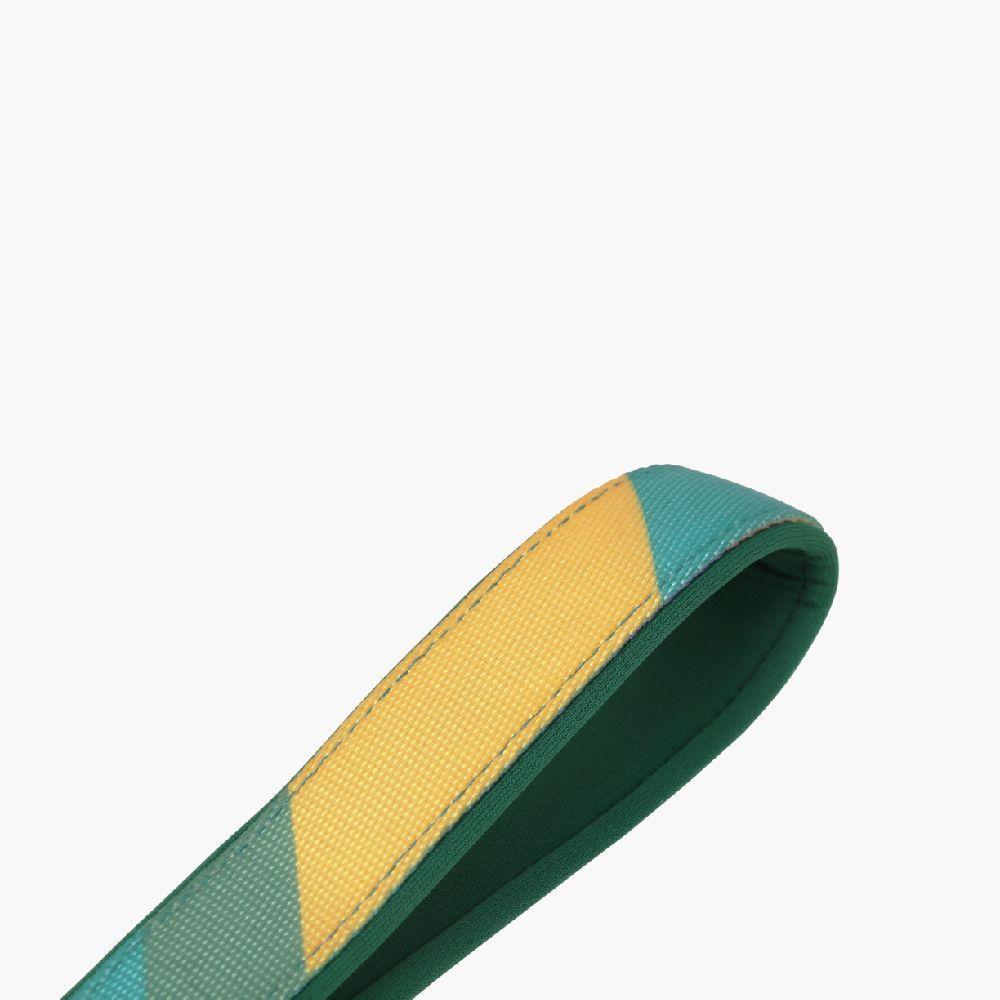 Pidan Correa Extensible para Perros Bloque Circular 3m5m-5