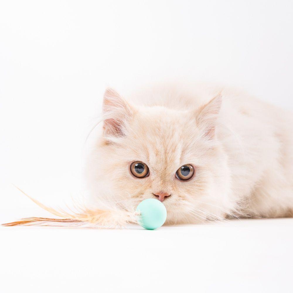 PIDAN - Juguetes para gatos Pelotas de Rebote - 3 piezas-2