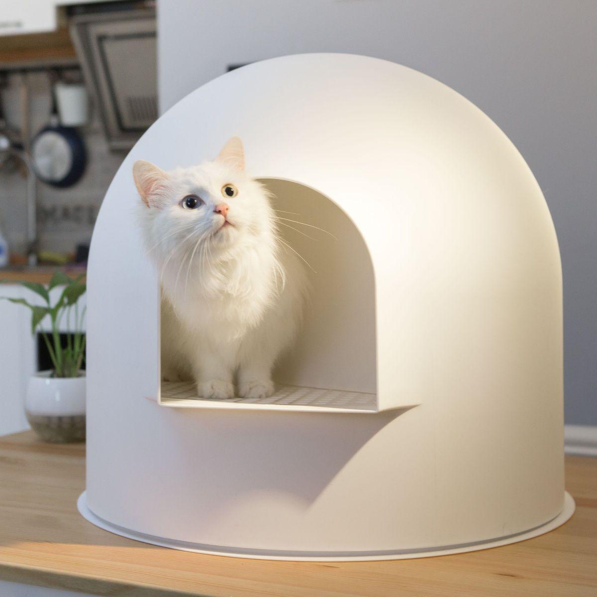 Pidan- Iglú - Caja de arena para gatos-1