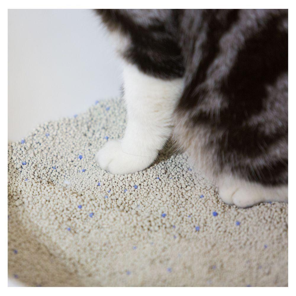 Pidan Arena para gato bentonita Libre de Polvo 6KG-5