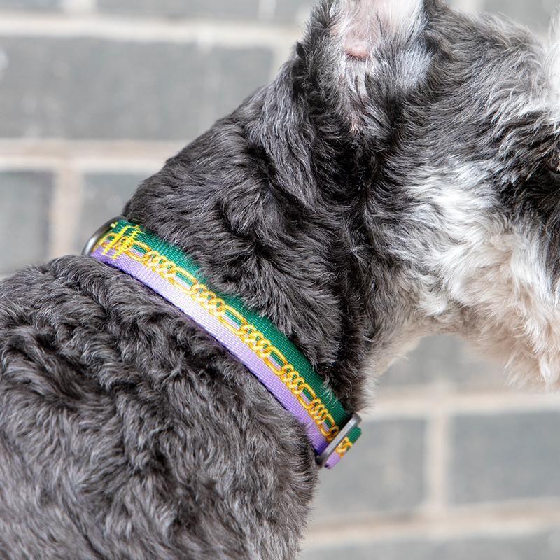Collar Ajustable Para Perro Peque o colores Variados Pidan-2