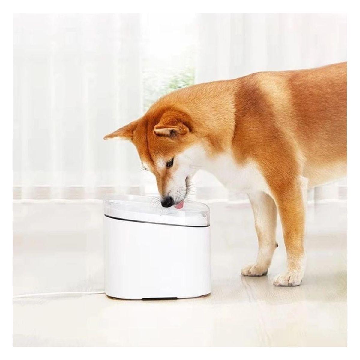 Xiaomi Smart Fountain Bebedero Inteligente Mascota-6