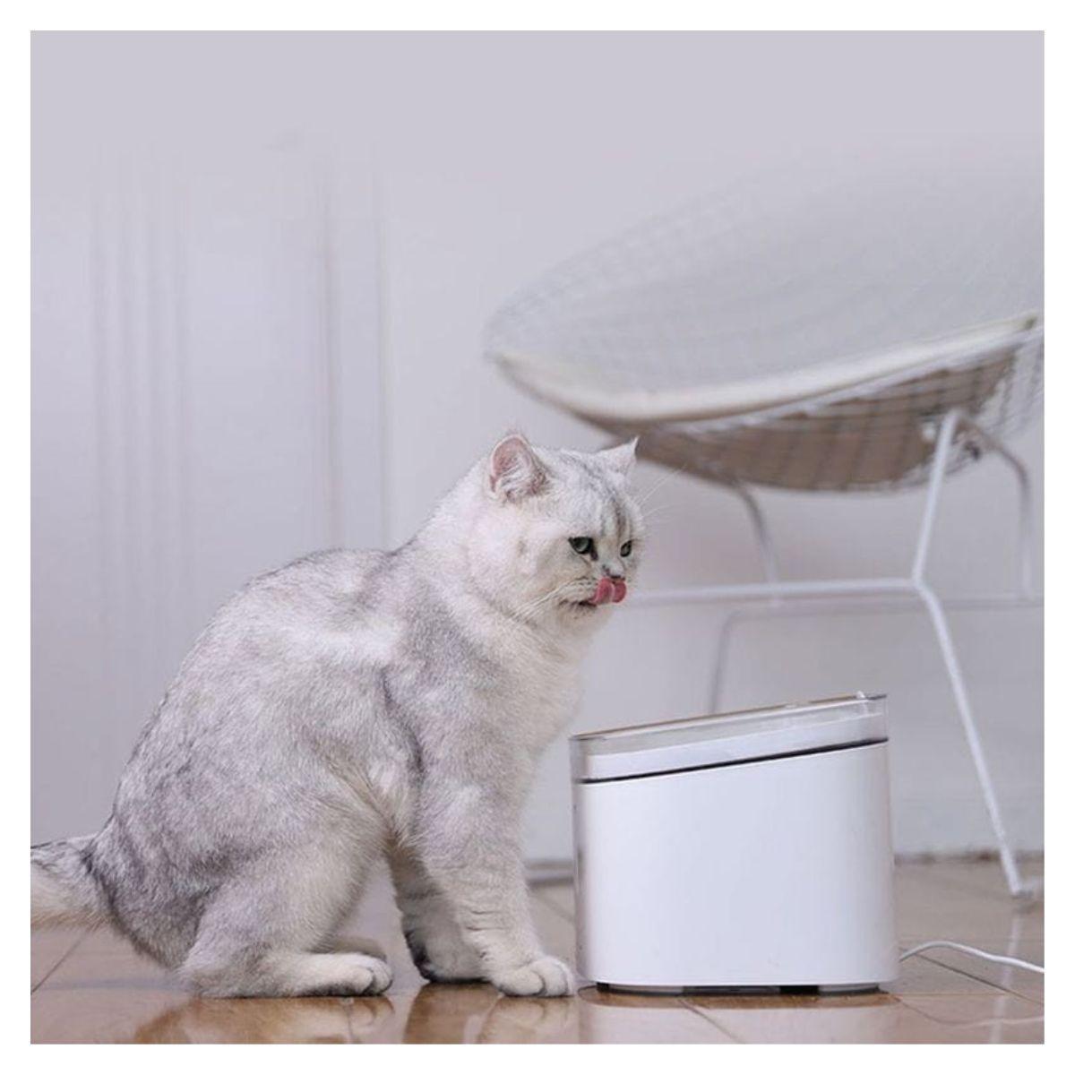 Xiaomi Smart Fountain Bebedero Inteligente Mascota-2