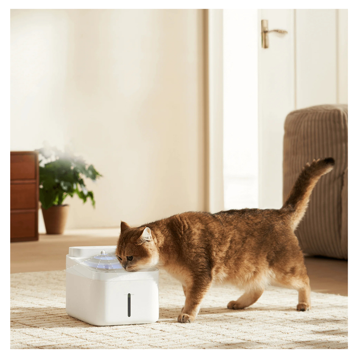 Xiaomi Bebedero para Mascotas 3L Smart Pet Fountain 2 Blanco-7