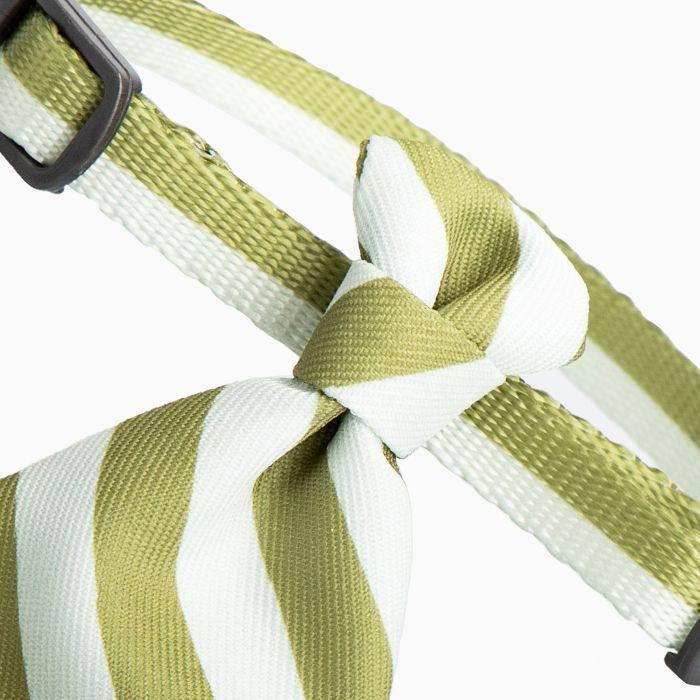 Pidan Cuello Corbata Elegante Para Gato Olivo-2