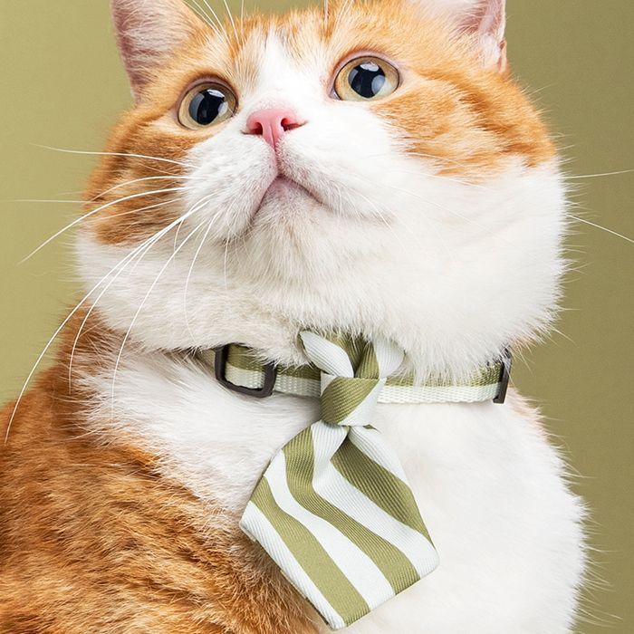 Pidan Cuello Corbata Elegante Para Gato Olivo-4