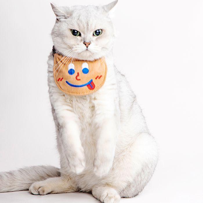 Pidan Correa Babero Para Mascotas 4 Dise os Original Naranjo-5