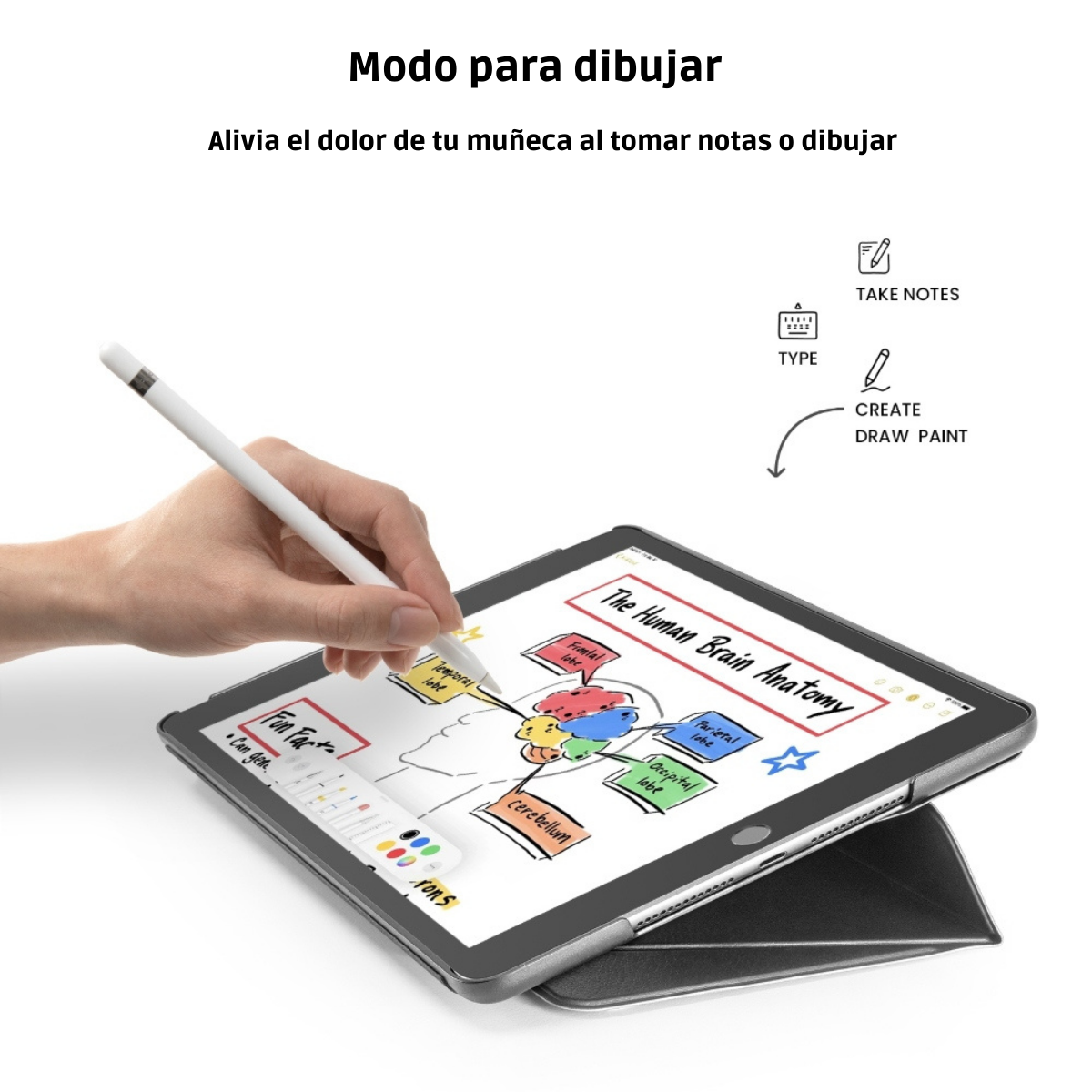 Tomtoc Funda Vertical iPad 10,2'' 9ª8ª7ª g Negro-7
