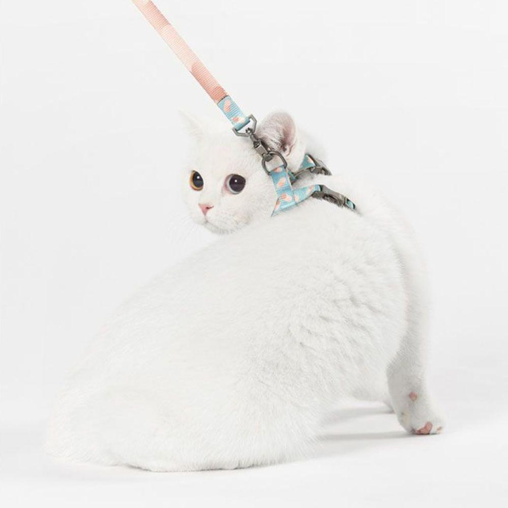 Arnés Y Correa Para Gato Ajustable Cómodo Seguro - Pidan®-4