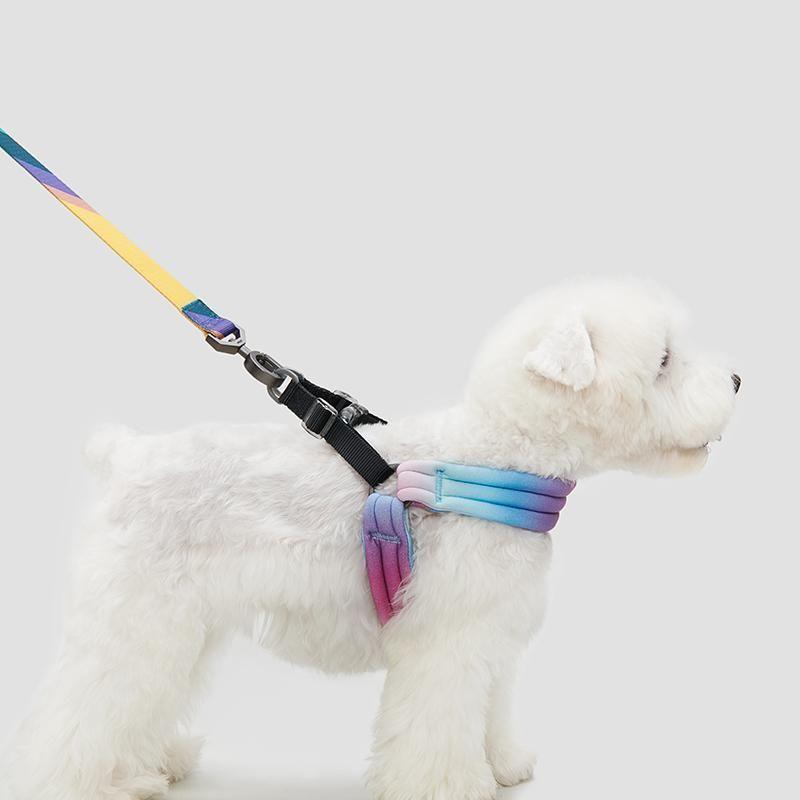 Pidan Arn s Para Mascotas Pet Peque o-3