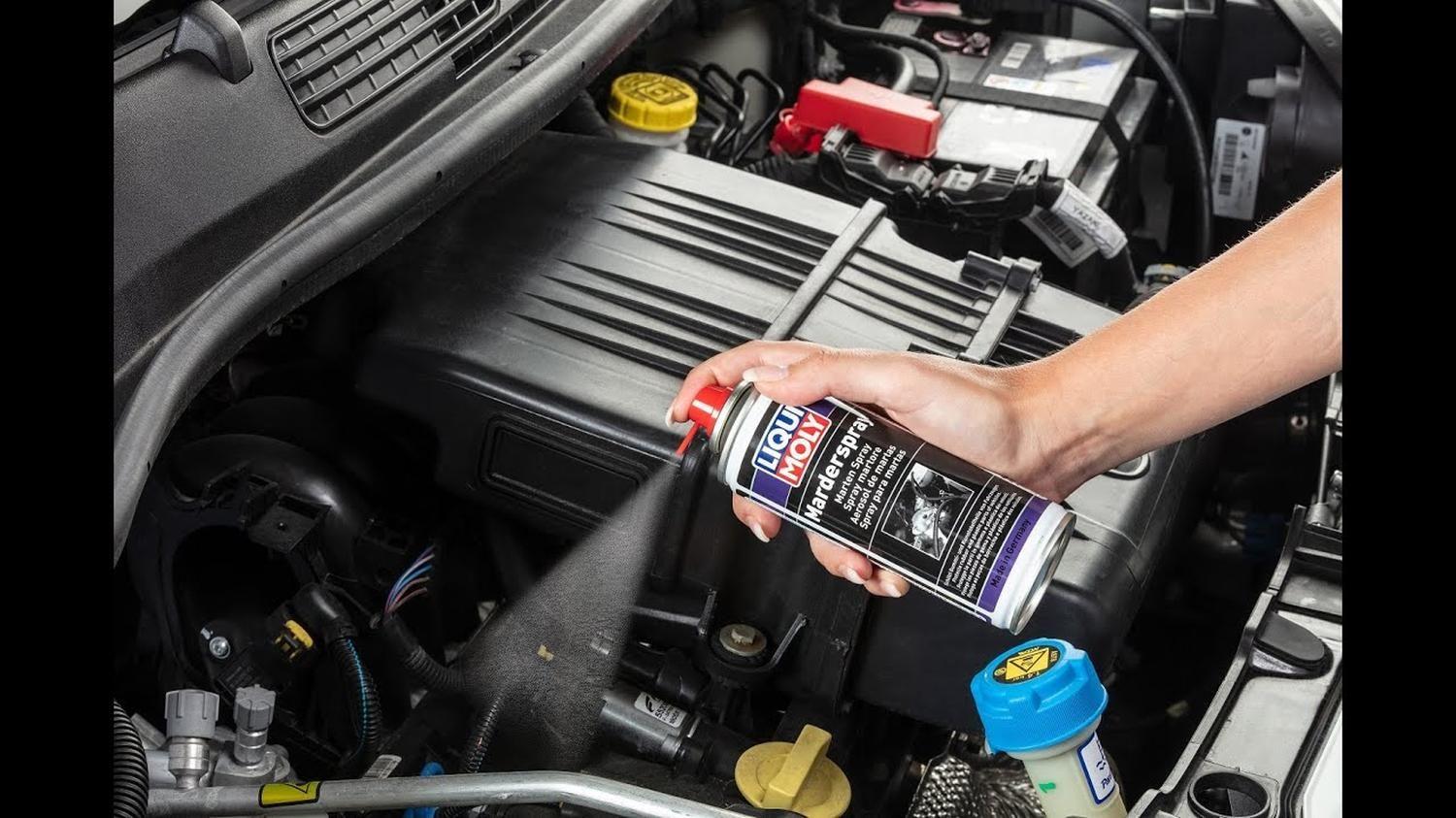 Repelente Spray Ratones O Roedores 200ml Liqui Moly-2