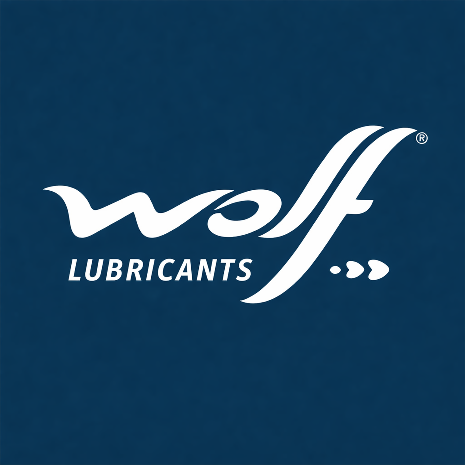 Kit Mantencion Moto Yamaha Fz 25 - 2l + Filtro Original-2