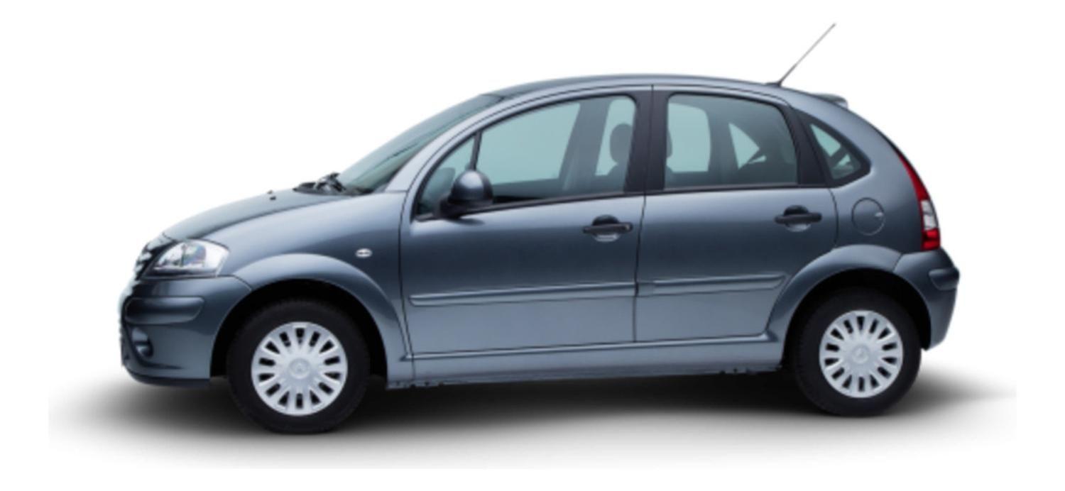 Amortiguador Portalon Citroen C3 (2000 - 2010)-5